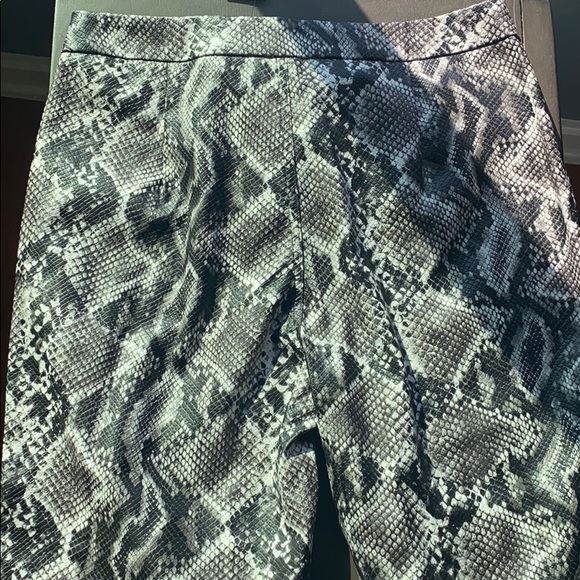 “Python Rich Snake” Pants - Picture 3 of 4